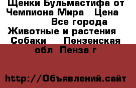 Щенки Бульмастифа от Чемпиона Мира › Цена ­ 1 000 - Все города Животные и растения » Собаки   . Пензенская обл.,Пенза г.